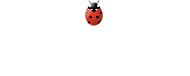 Checkerberry's Flowers & Gifts - Coos Bay, OR florist
