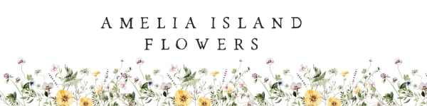 AMELIA ISLAND FLOWERS - Fernandina Beach, FL florist