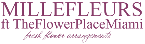 Mille Fleurs - Miami, FL florist