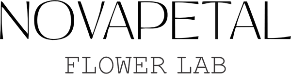 NovaPetal Scottsdale - Phoenix, AZ florist