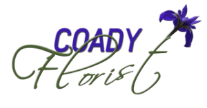 Coady Florist - Cambridge, MA florist
