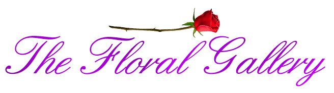 The Floral Gallery - Marlborough, MA florist