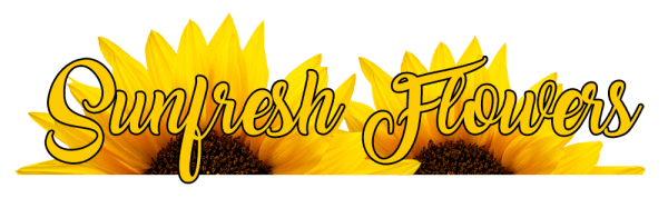 Sunfresh Flowers - Carlsbad, CA florist