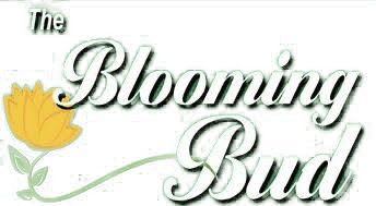 The Blooming Bud - Olathe, KS florist