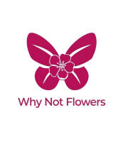 Why Not Flowers - Jax Beach, FL florist