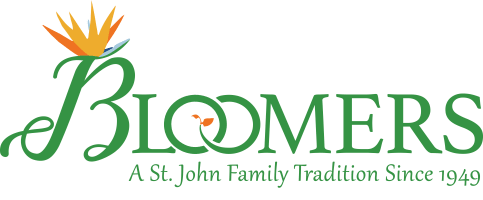 Bloomers In St. Louis - St. Louis, MO florist
