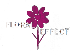 Floral Effect - Santa Clarita, CA florist