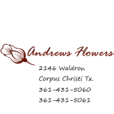 Andrews Flowers - Corpus Christi, TX florist