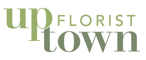 Uptown Florist & Gift - Enid, OK florist