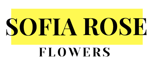 Sofia Rose Flowers - Fort Lauderdale, FL florist