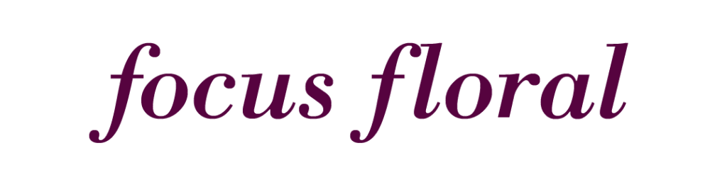 Focus Floral - Naples, FL florist