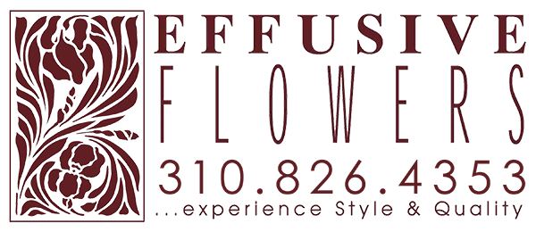 Effusive Flowers - Beverly Hills, CA florist