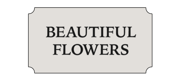 Beautiful Flowers - Glen Head, NY florist