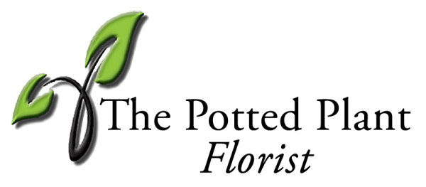 The Potted Plant - Cottleville, MO florist
