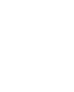Moon and Blossom - Miami Beach, FL florist