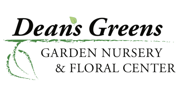 Deans Greens Florist - Berkeley Heights, NJ florist