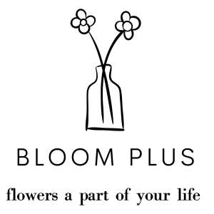 Bloom Plus - Toronto, ON florist