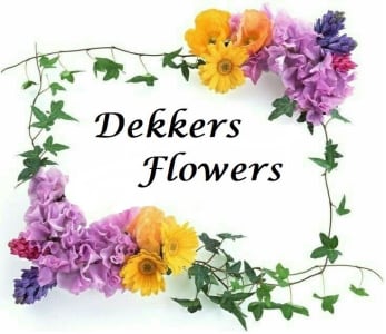 Dekkers Flowers of Sidney LLC - Sidney, OH florist