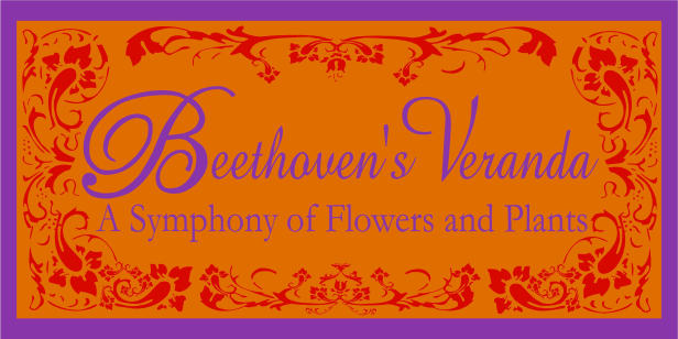 Beethoven’s Veranda - Hoboken, NJ florist