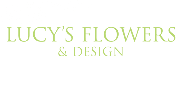 Lucy's Flowers & Design - Denver, CO florist