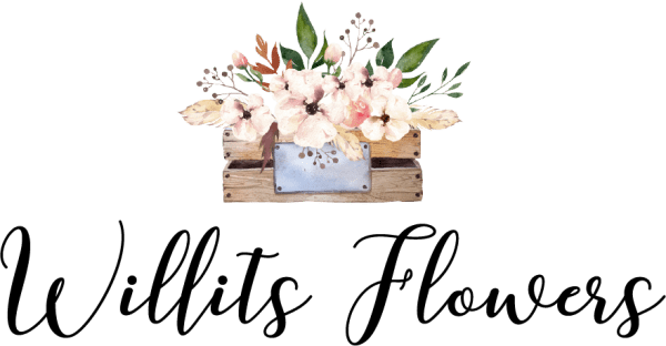 Willits Flowers-W/E Flowers - Willits, CA florist