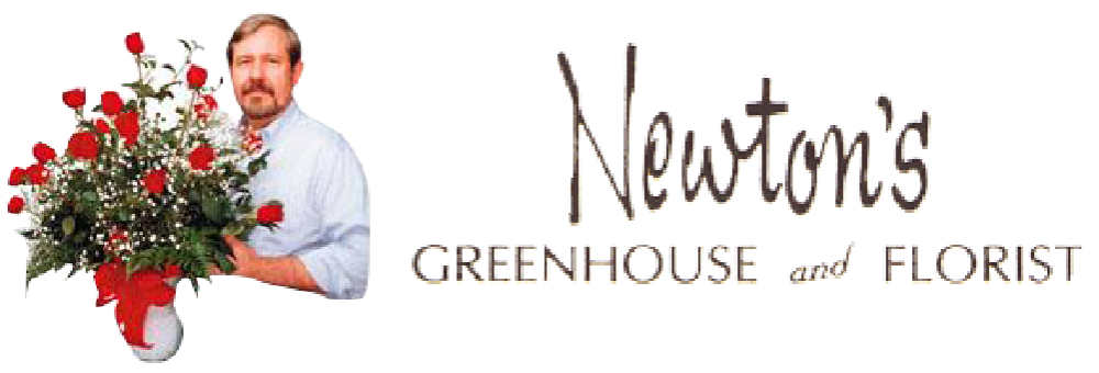 Newton's Greenhouse and Florist - Sumter, SC florist
