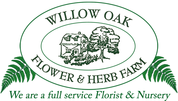 Willow Oak Flower & Herb Farm - SEVERN, MD florist