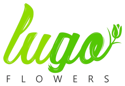 LUGO Flowers - Silver Spring, MD florist