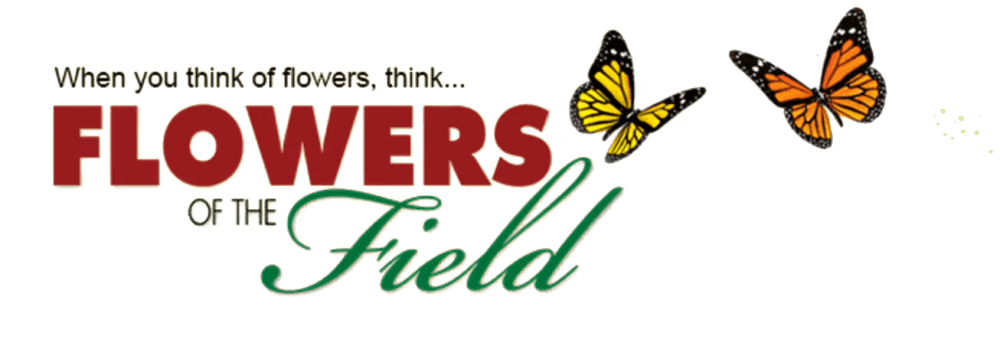 Flowers of the Field - North Bergen, NJ florist