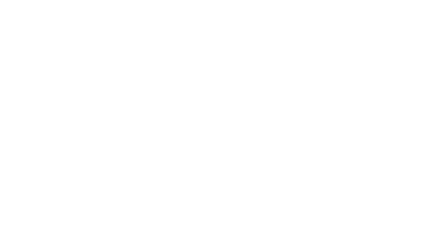 Blooms and Balloons - Glendale, AZ florist