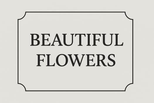 Beautiful Flowers - Glen Head, NY florist