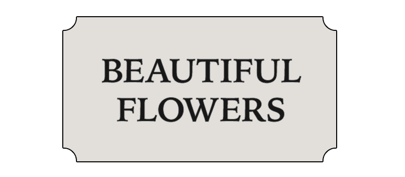 Beautiful Flowers - Glen Head, NY florist