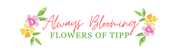 Always Blooming - Tipp City, OH florist