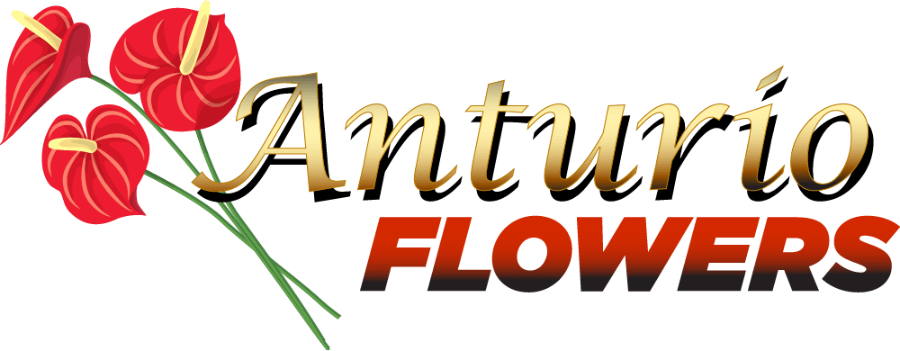 Anturio Flowers - Richfield, MN florist