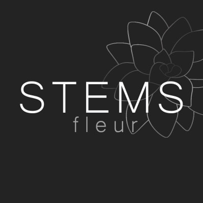 Stems Fleur - Cleveland Heights, OH florist