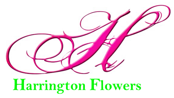 Harrington Flowers - Londonderry, NH florist
