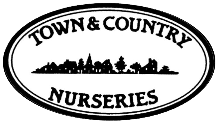 Haddam Florist | Flower Delivery by Town & Country Nurseries