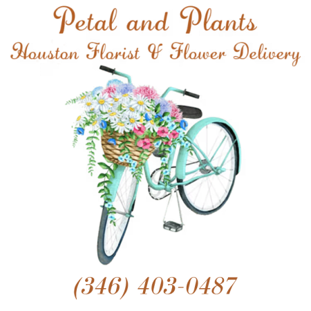 Petal and Plants - Houston Florist & Flower Delivery - Houston, TX florist