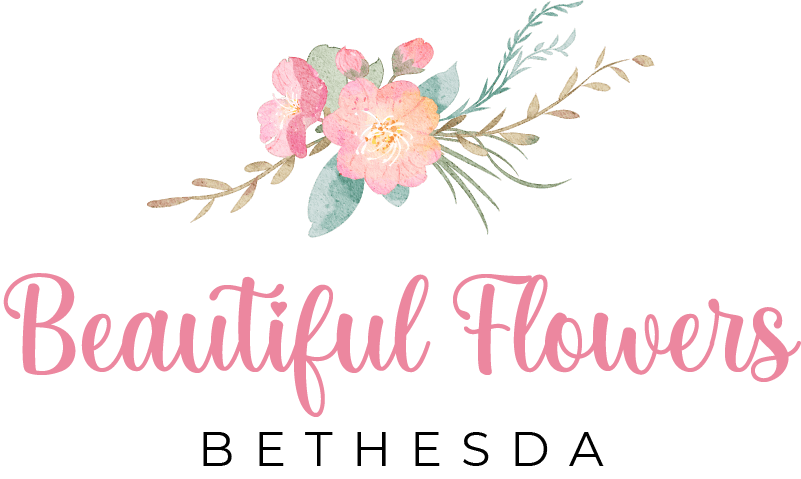 Beautiful Flowers Bethesda - Bethesda, MD florist