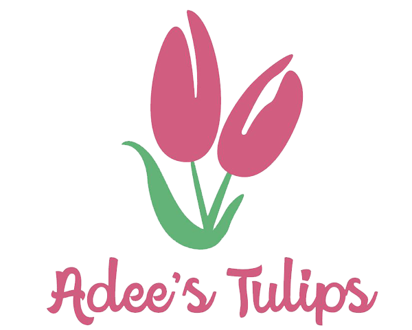 Adee's Tulips - Baltimore, MD florist