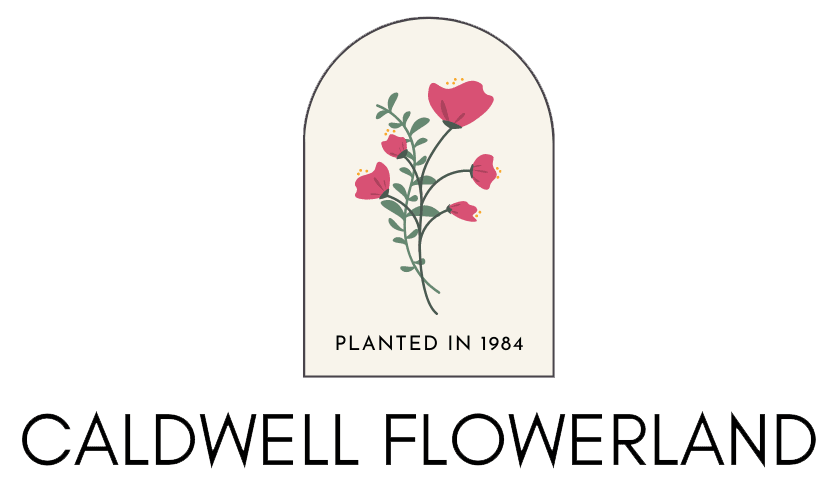 Caldwell Flowerland - Caldwell, NJ florist