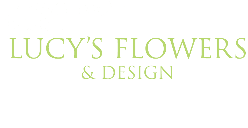 Lucy's Flowers & Design - Denver, CO florist