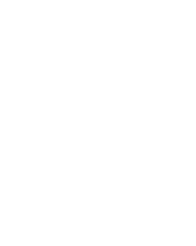 Moon and Blossom - Miami Beach, FL florist