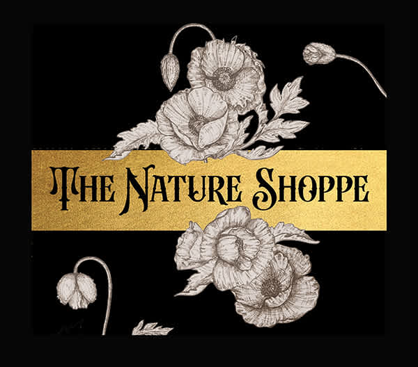 The Nature Shoppe  - Tampa, FL florist