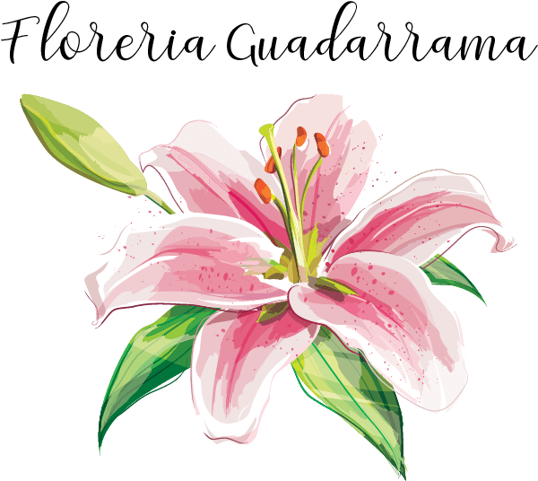 Wedding Flowers Delivery El Paso Texas Floreria Guadarrama