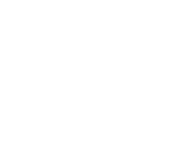 Accent Flowers - Roswell, NM florist