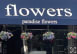Paradise Flowers - Belmont, MA florist