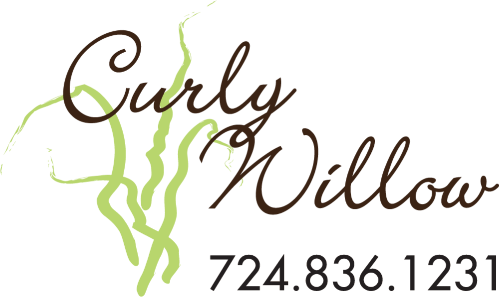 Curly Willow - Greensburg, PA florist