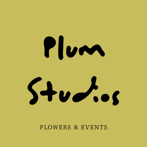 PLUM STUDIOS - Phoenix, AZ florist