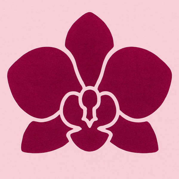 Aleman Bloom - Falls church, VA florist